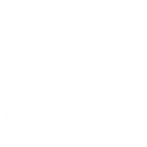 Gecko Shoes